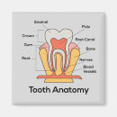 Suche nach gesundheits magnete Doctor