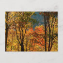 Suche nach orange blatt postkarten Herbst