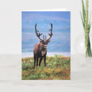 Suche nach denali nationalpark karten Alaska