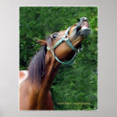 Suche nach lustige pferde poster Lachen