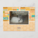 Suche nach häschens postkarten Ich kann habe cheezburger