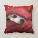 Suche nach feiertage kissen Haustier