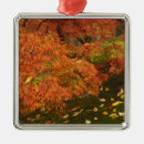 Suche nach ahorn ornamente Farbe