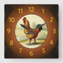 Suche nach gallus gallus Hahn
