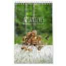 Suche nach elf kalender Wald