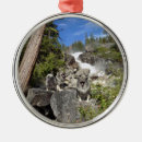 Suche nach keeshond ornamente Verzierung