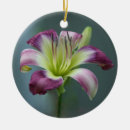 Suche nach lavendel blume ornamente Blau