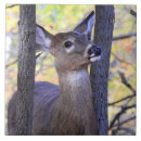 Suche nach hirsch fliesen Tierwelt