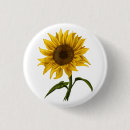 Suche nach glückliche sonne buttons Blume