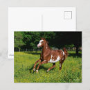 Suche nach oldenburg alle postkarten Laufen