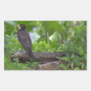 Suche nach rotkehlchen aufkleber Vögel