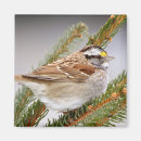 Suche nach spatz magnete Winter