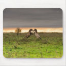 Suche nach wilde wilde pferde mousepads Natur