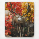Suche nach whitetail mousepads Weißlich