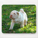 Suche nach shar pei welpe mousepads Chinesisch