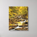 Suche nach creek leinwandbilder Laub