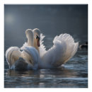 Suche nach metal poster Wand