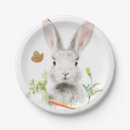 Suche nach karotte pappteller Hase