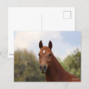 Suche nach oldenburg alle postkarten Kopfschuss