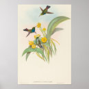 Suche nach antike vögel poster Botanisch