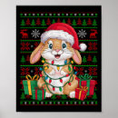 Suche nach kaninchen poster Hase