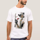 Suche nach elfenbein berechneter specht tshirts Campephilus