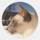 Suche nach profil aufkleber Blau