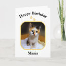 Suche nach maria karten Katze