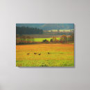 Suche nach fälle leinwandbilder Landschaft