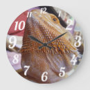 Suche nach bearded dragon poster Beardie