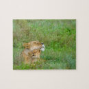 Suche nach löwin puzzle Wild