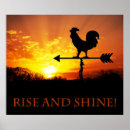 Suche nach schwarzer hahn poster Gelb