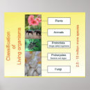 Suche nach organismen poster Bildung