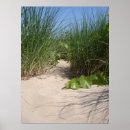 Suche nach strandhafer poster Natur
