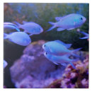 Suche nach blauer fisch fliesen Meer