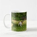 Suche nach jack russel tassen Haustier