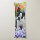 Suche nach bullterrier kissen Niedlich