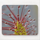 Suche nach makro mousepads Natur