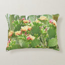 Suche nach stachelig kissen Birne