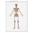 Suche nach vorderansicht postkarten Medizinisch