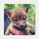 Suche nach kneipen magnete Hunde