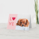 Suche nach hundebilder karten Liebe