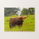 Suche nach highland cow puzzle Niedlich