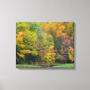 Suche nach wälder leinwandbilder Landschaft