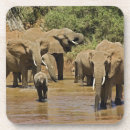 Suche nach afrikanischer elefant untersetzer Kenia