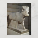 Suche nach stier postkarten Dynastie