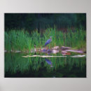 Suche nach spiegelung poster Wildtiere