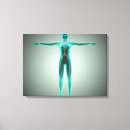 Suche nach arterien leinwandbilder Anatomie