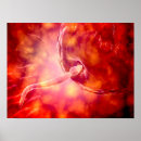 Suche nach embryo poster Vergrößerung