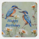 Suche nach kingfisher aufkleber Vogelvogel